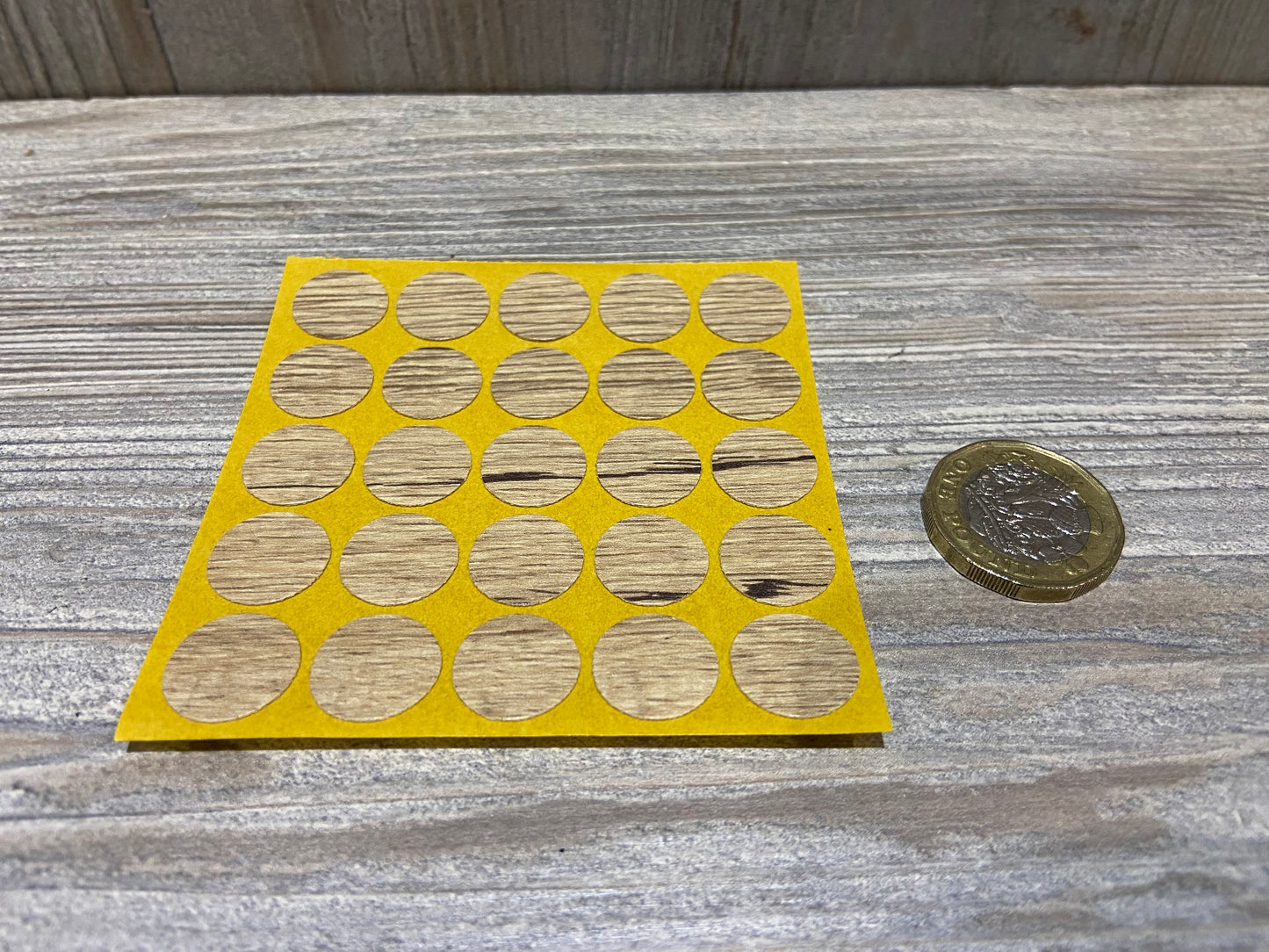 Bardolino Oak Self Adhesive Screw Caps 13mm